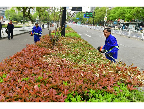 东丽城市园林绿化管理