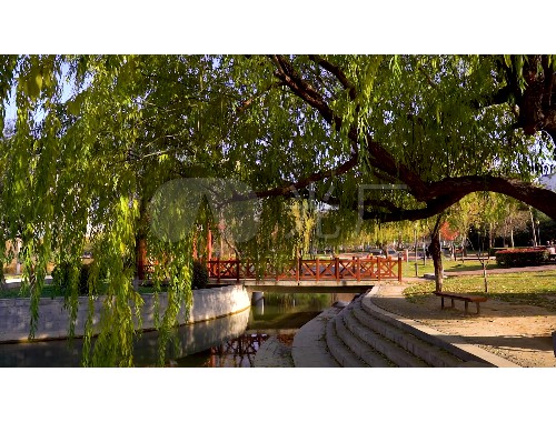 盐城市绿化公司