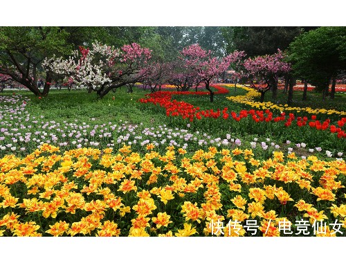岳阳城市绿化草坪价格查询