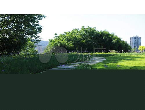 阳江城市绿化种植基地项目
